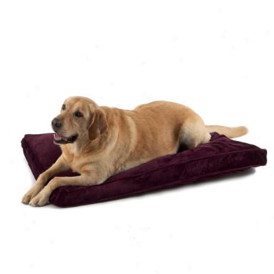 Pet Dreams Memory Froth Orthopedic Dog Beds