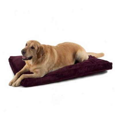 Pet Dreams Ortho Bliss Memory Foam Bed Willow Green 42in