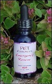 Pe tEqsences Arthritis / Achy Pain Flower Essences