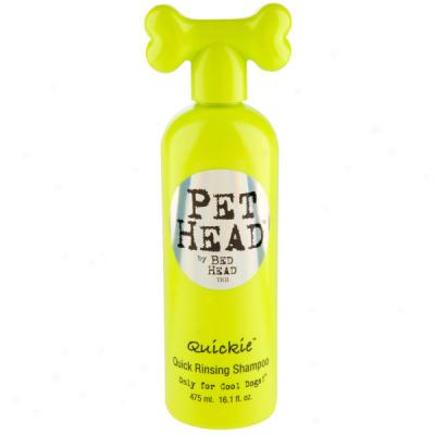 Pet Head Qulckie Quick Rinsing Shampoo For Dogs