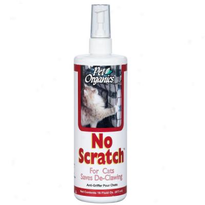 Pet Organics No-scratch For Cats