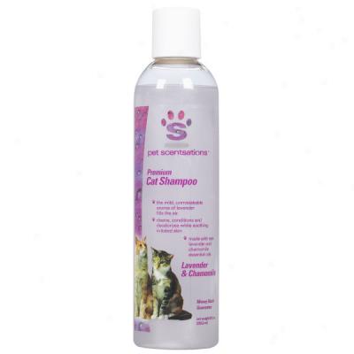 Pet Scentsatoins Premium Cat Shampoo