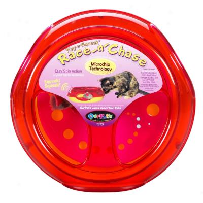 Pet Zone Race 'n Chase Cat Toy