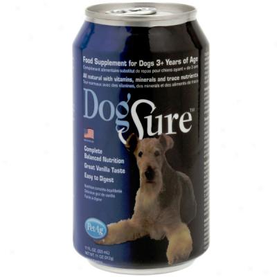 Petag Dogsure Meal Replacement Food Supplement