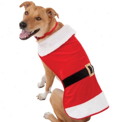 Petholiday(tm) Santa Paws Dog Costume