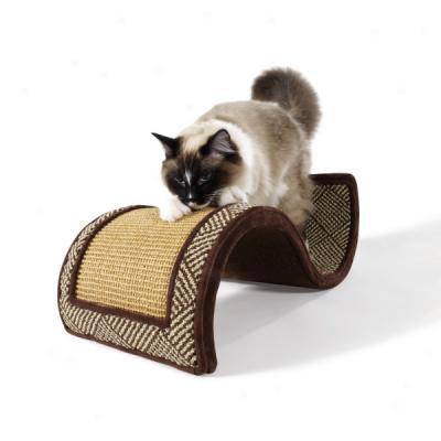 Petlinks System Revery Curl Curved Scratcher