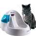 Petmate® Fresh Flow Cat Fountain (50 Oz. Capacity)