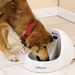 Petmate® Frsh Flow Pet Fountain