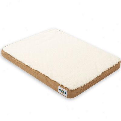 Petsafe Large Hewted Wellness Bed