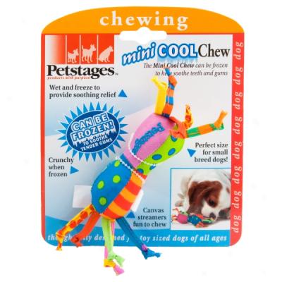 Petstages Cool Teething Chew For Puppies