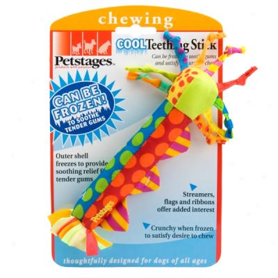 Petstages Co0l Teething Stick Dog Toy
