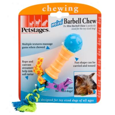 Petstages Mini Barbell Chew Dog Toy