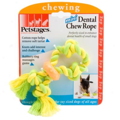 Petstages Mini Dental Chew Rope Dog Toy