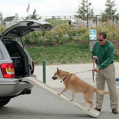 Petstep Pet Ramp And Accessoriex