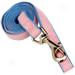 Pink & Blue Ultra Suede Lead