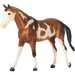 Pinto Sport Horse Bay Overo