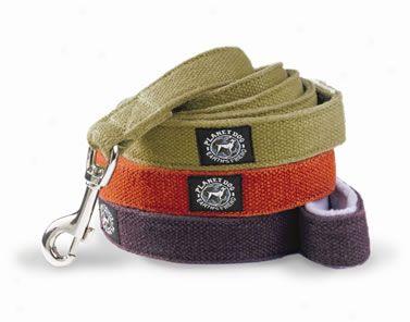 Planet Dog Hemo Dog Leash Orange