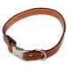 Polo Leather Dog Collaar & Leash By Fox & Hounds