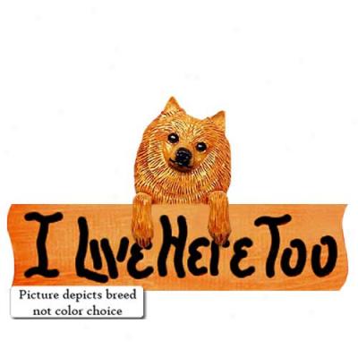 Pomeranian I Live Here Too Maple Finish Sign Brown