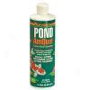 Pond Amquel