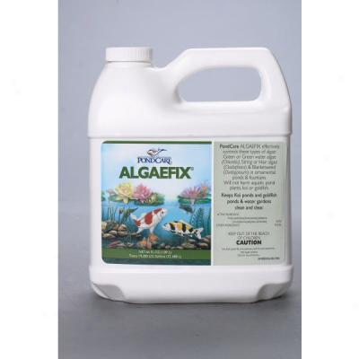 Pond Care Algaefix