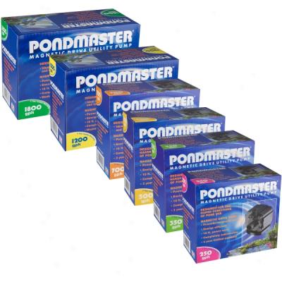 Pondmast3r Magdrive Utiity And Aquatic Replacement Pumps