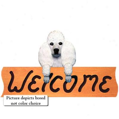 Poodle Apricot Welcome Sign Maple