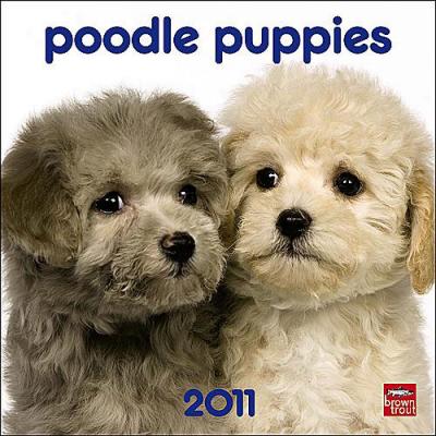 Poodle Puppies 2011 Mini Wall Calendar