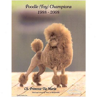 Poodle (toy) Champions 1988-2008