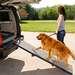 Movable Pet Ramp