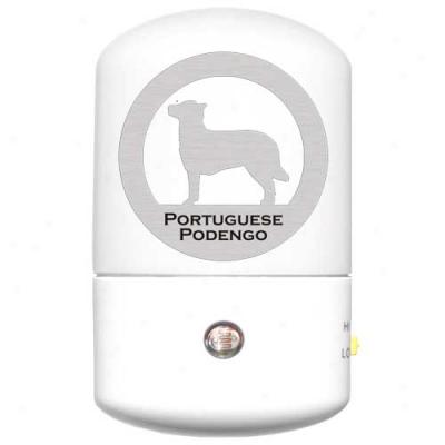 Portuguese Podengo Led Night Light