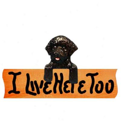 Portuguese Water Dog I Live Here Too Maple Finish Sign Black