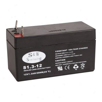Power Pet 12c Recharfeable Battery