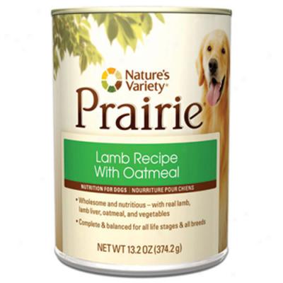 Prairie Lamb Recipe With Oatmeal For Dogs Case Of 12 13.2oz Cans