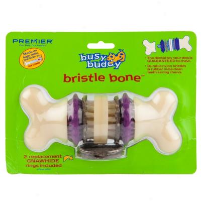 Premmier Busy Buddy Bristle Bone