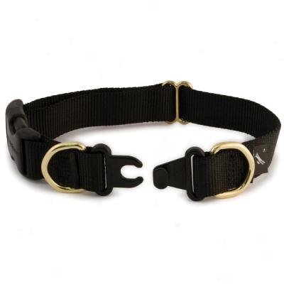 Premier Keepsafe Break-away Collar