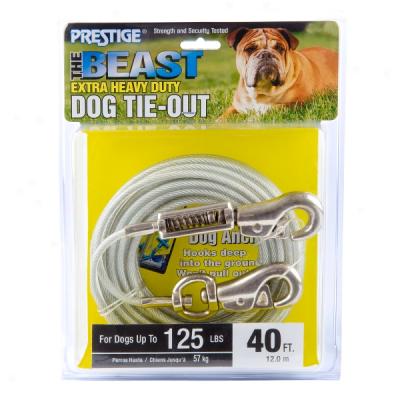 Prestige The Baest Extra Heavy-duty Dog Tie-out