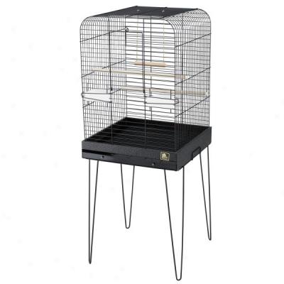 Prevue Cockatiel Cages With Stands