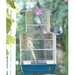 Prevue Parakeet And Cofkatiel Bird Cage