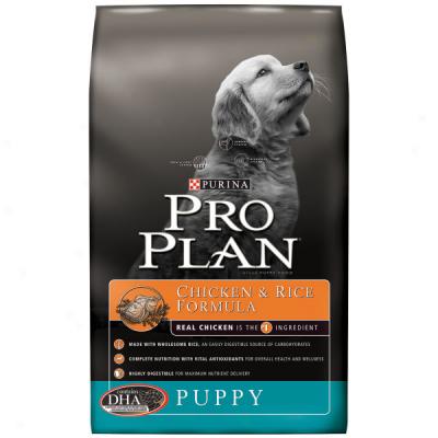 Pro Plan Chicken & Rice Formula Pup0y Food