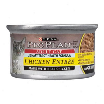 Pro Plan Unusual Care Formula Cat Food In Cans