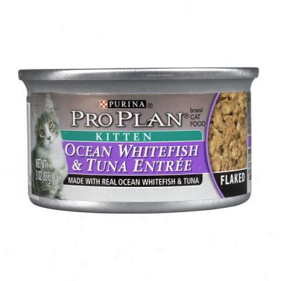 Pro Plan Ocean Whitefish & Tuna Kitten Food