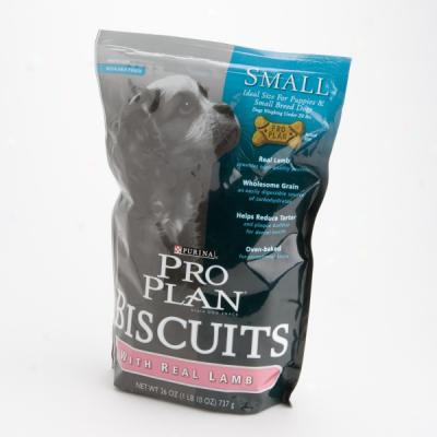 Pro Plan Puppy Biscuits With Real Lamb