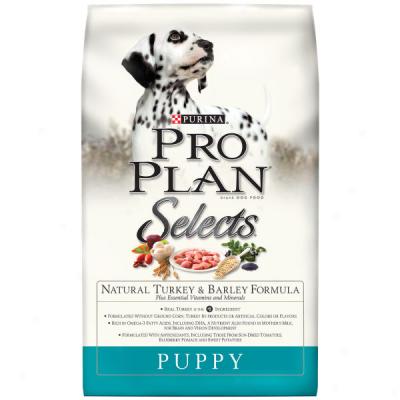 Pro Plan Selects Puppy Food