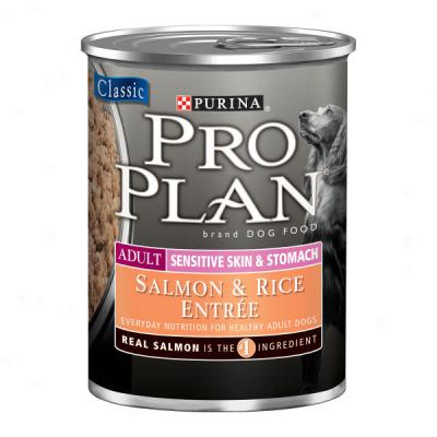 Pro Plan Sensitive Skin And Stomach Salmon And Rice Formula Dog Food