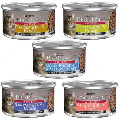 Pro Plan Total Care Person of mature age Formmula Cat Food In Cans - 24 (3 Oz.) Cans