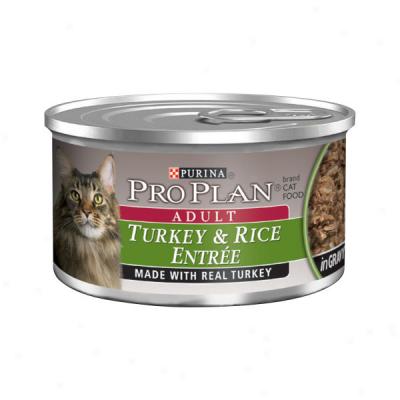 Pro Plan Turkey & Rice Entre In Gravy Cnned Adult Cat Food