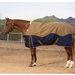 Professional's Choice Supsr Heavyweight  Turnout Blanket