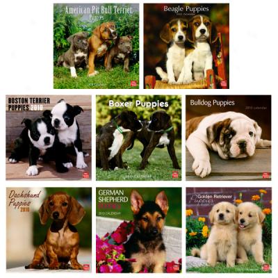 Puppies 2010 Wall Calendars