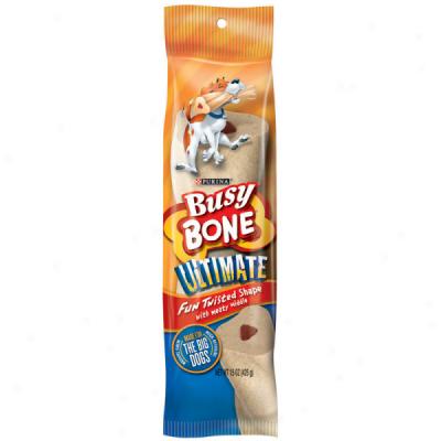 Purina Busy Bone Last Chew Treat For Large Dogs